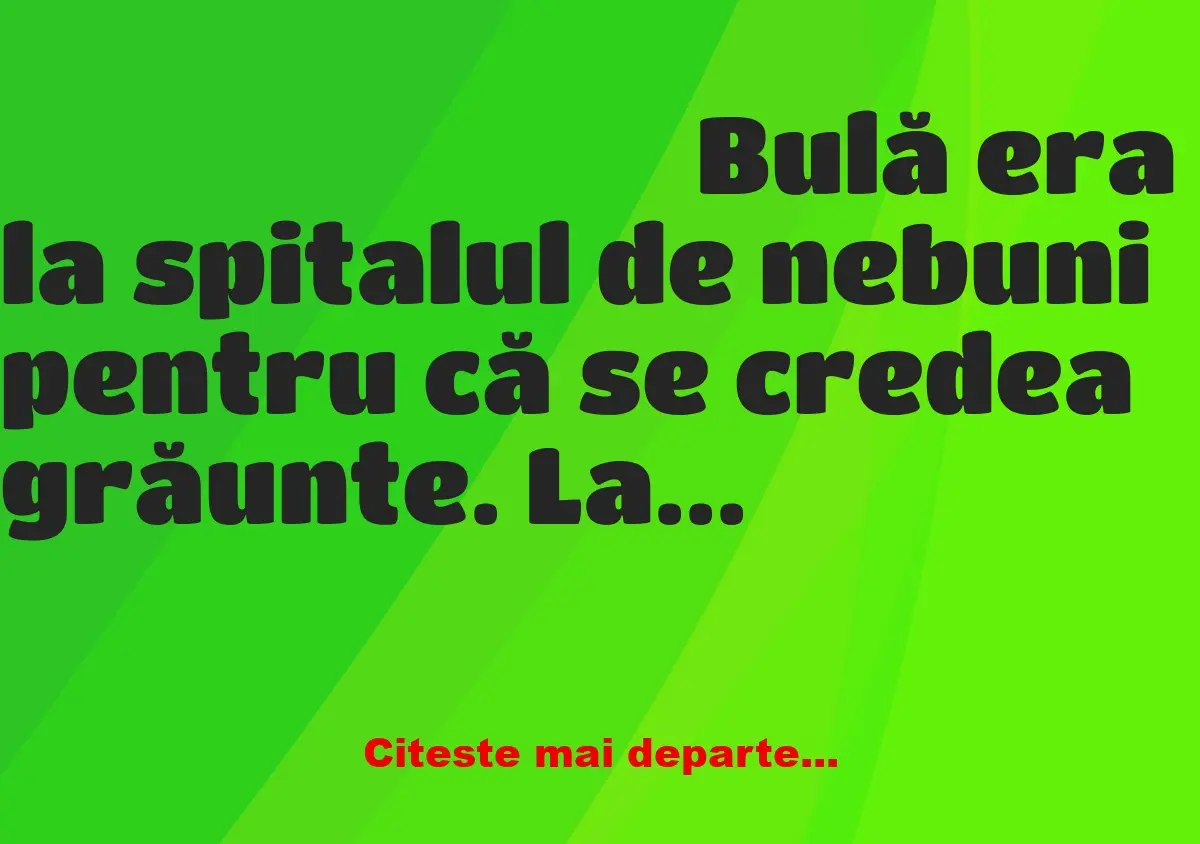 Banc: Bulă era la spitalul de nebuni pentru că se credea grăunte