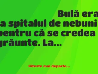 Banc: Bulă era la spitalul de nebuni pentru că se credea grăunte