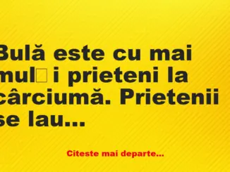 Banc: Bulă este cu mai mulți prieteni la cârciumă. Prietenii se laudă cu…