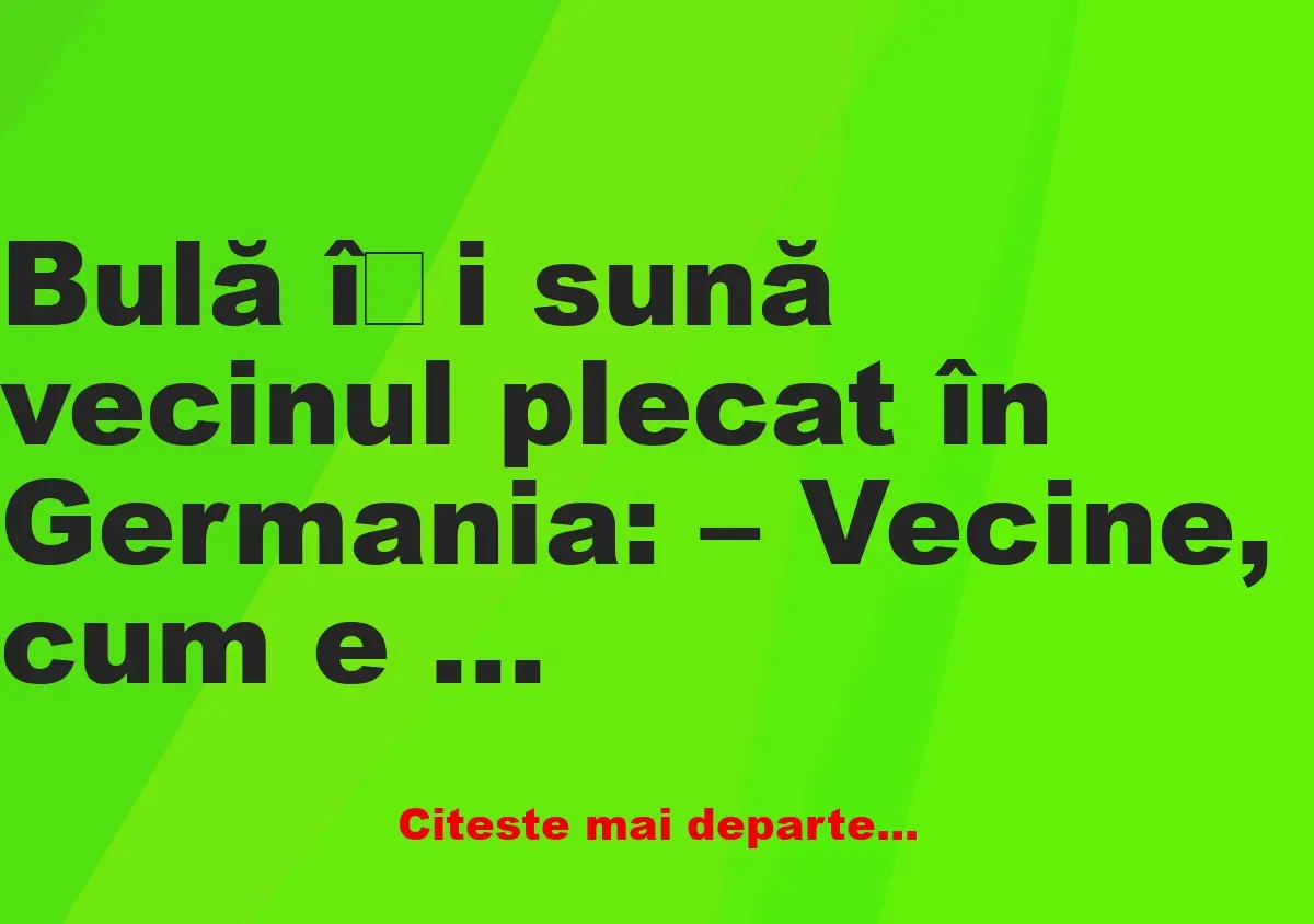 Banc: Bulă își sună vecinul plecat în Germania: – Vecine, cum e pe-acolo, cu…