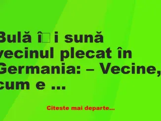 Banc: Bulă își sună vecinul plecat în Germania: – Vecine, cum e pe-acolo, cu…