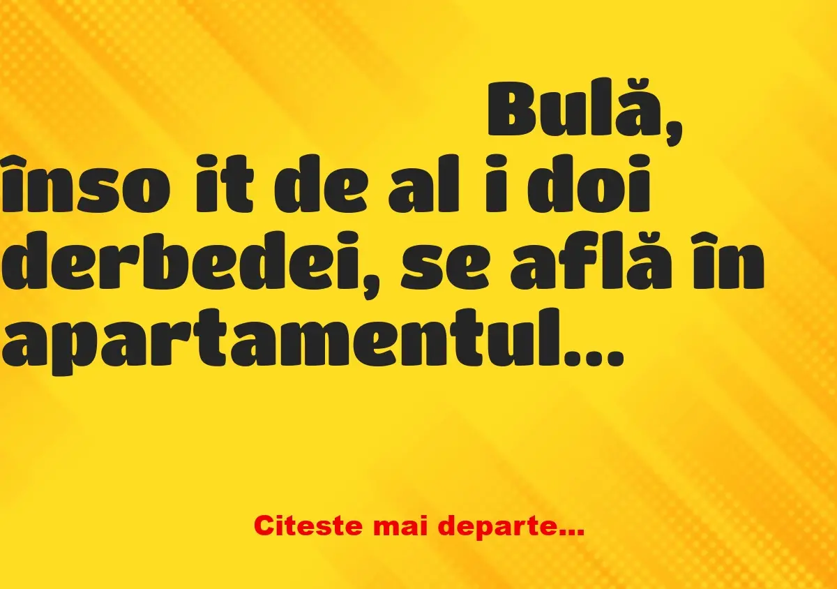 Banc: Bulă merge în apartamentul unei nimfomane din Bucureşti