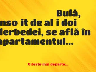 Banc: Bulă merge în apartamentul unei nimfomane din Bucureşti