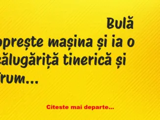 Banc: Bulă oprește mașina și ia o călugăriță tinerică și frumoasă, care…