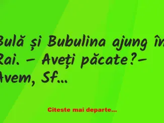 Banc: Bulă și Bubulina ajung în Rai. – Aveți păcate?