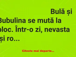 Banc: Bulă și Bubulina se mută la bloc: – Bulă, te rog, repară și tu lumina…