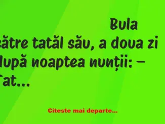 Banc: Bulă: – Tată, soția mea este fecioară!