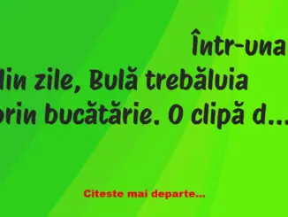 Banc: Bulă trebăluia prin bucătărie, când deodată se taie la deget