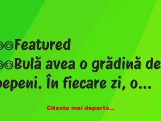 Banc: Ce a pățit Bulă cu hoțul de pepeni