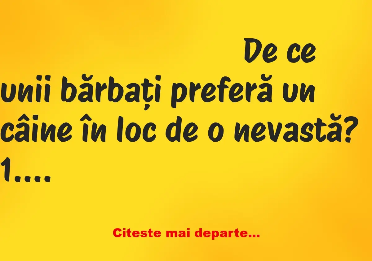 Banc: De ce unii bărbați preferă un câine în loc de o nevastă? Dacă fuge…