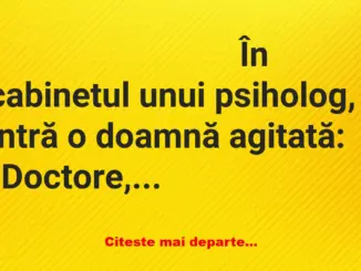 Banc: – Doamnă Rozi! Dumneavoastră l-ați bătut pe Gheorghe cu bâta de…