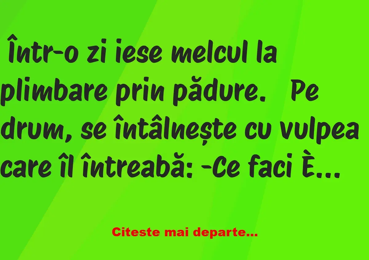 Banc: Într-o zi iese melcul la plimbare prin pădure.  Pe drum, se întâlnește…