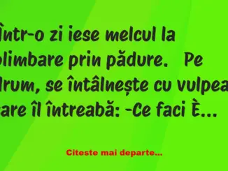 Banc: Într-o zi iese melcul la plimbare prin pădure.  Pe drum, se întâlnește…