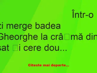 Banc: Într-o zi merge badea Gheorghe la crâșmă din sat și cere doua pahare…