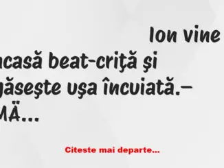 Banc: Ion si Gheorge: – Ba, Ioane. Care e pluralul la “o bere”?