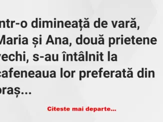 Banc: La Piscină: O Poveste cu Umor –