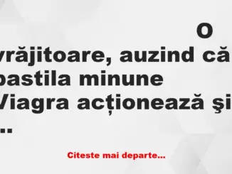 Banc: O vrăjitoare, auzind că pastila minune Viagra acţionează şi la femei,…