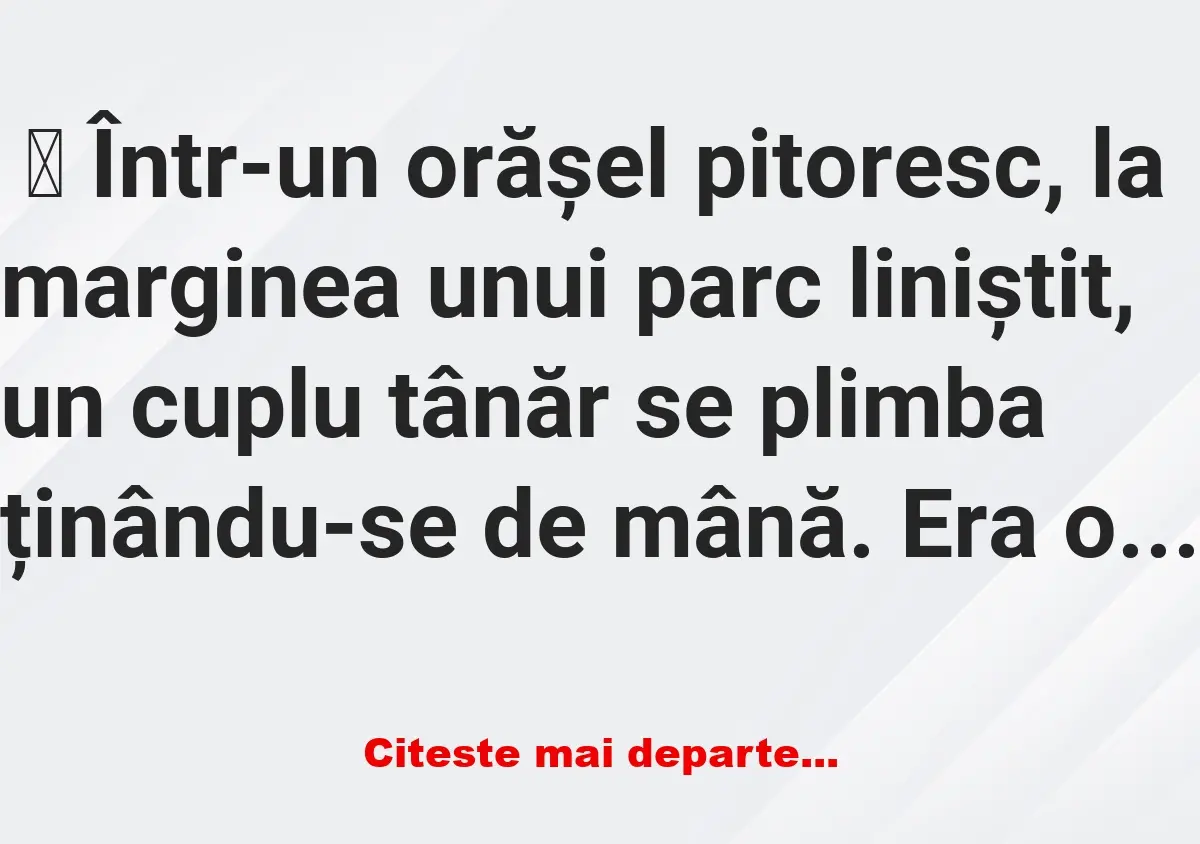 Banc: Promisiuni și Realități: O Poveste Amuzantă despre Căsnicie -…