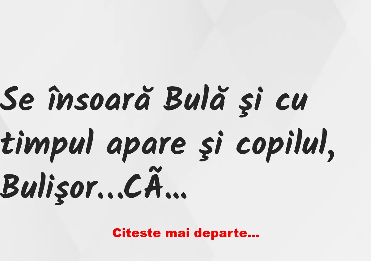 Banc: Se însoară Bulă şi cu timpul apare şi copilul, Bulişor…