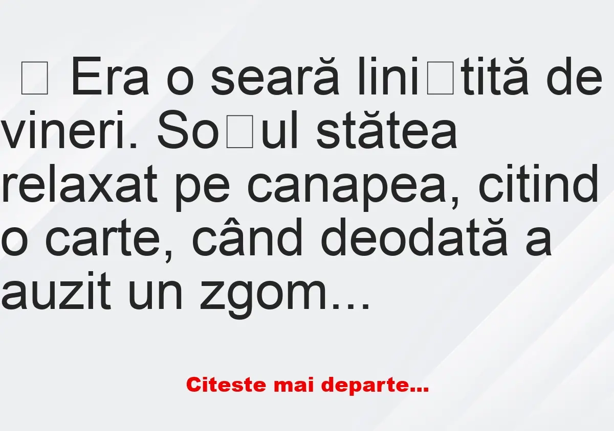 Banc: Soția și Laptopul: O Poveste Amuzantă de Seară –