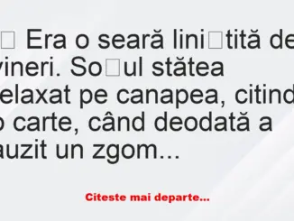 Banc: Soția și Laptopul: O Poveste Amuzantă de Seară –