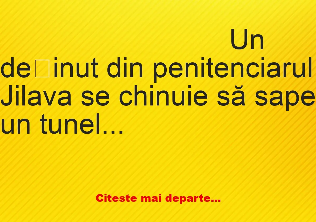 Banc: Un deținut din penitenciarul Jilava se chinuie să sape un tunel