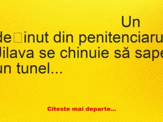 Banc: Un deținut din penitenciarul Jilava se chinuie să sape un tunel