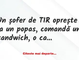 Banc: Un șofer de TIR oprește la un popas, comandă un sandwich, o cafea și o…