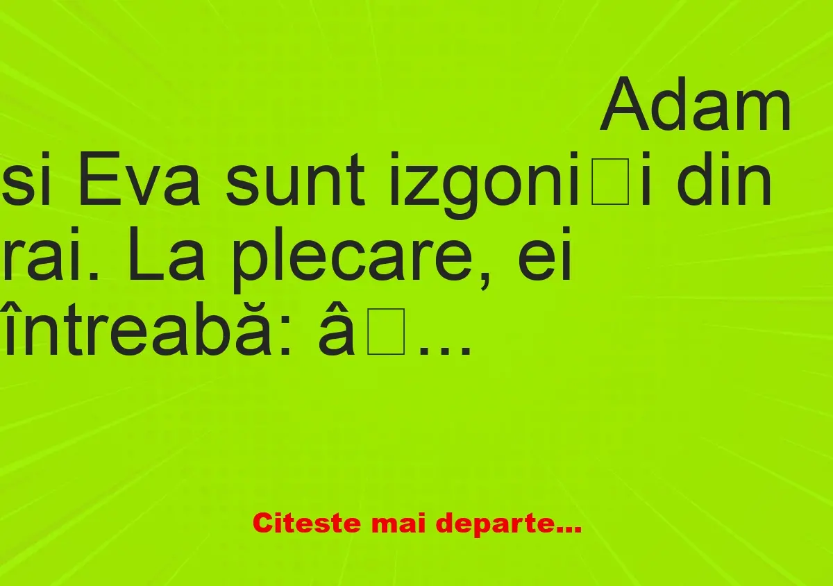 Banc: Adam, Eva și pisica jucăușă