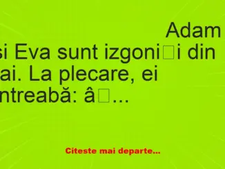 Banc: Adam, Eva și pisica jucăușă