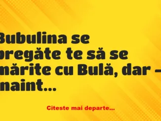 Banc: Bubulina se pregătește să se mărite cu Bulă