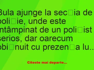 Banc: Bula ajunge la secția de poliție –