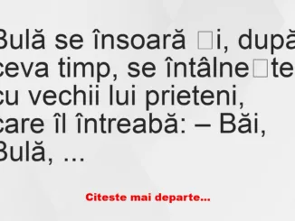 Banc: Bulă se însoară: – Băi, Bulă, cum e nevastă-ta?