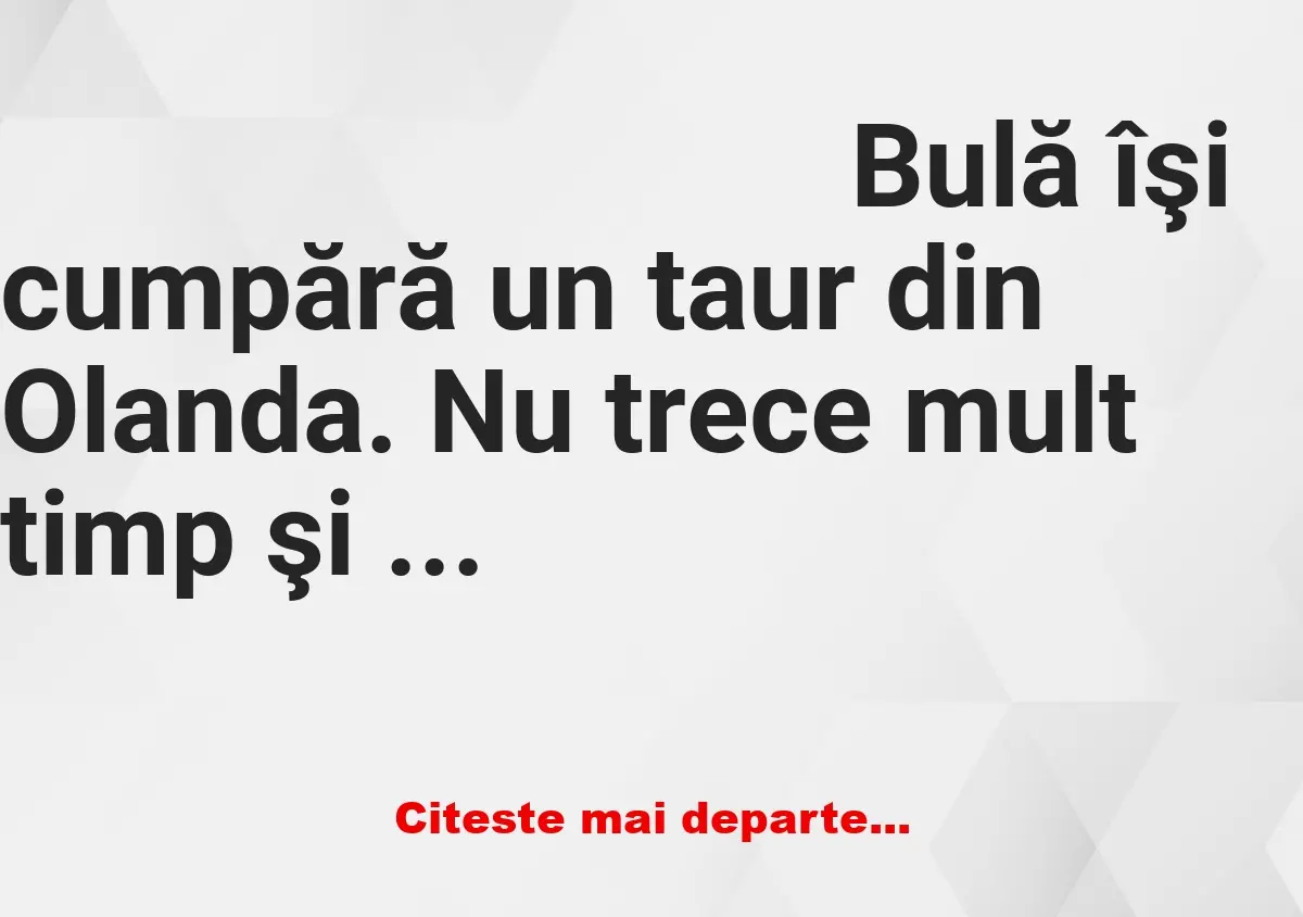 Banc: Bulă se laudă cu taurul din Olanda: Am făcut avere!