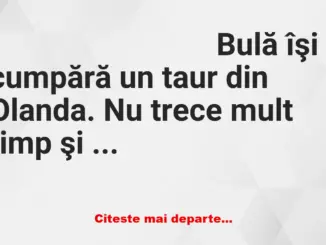 Banc: Bulă se laudă cu taurul din Olanda: Am făcut avere!