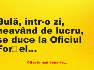 Banc: – Bună ziua! Sunt Bulă din Vaslui și sunt vânător de elefanți!