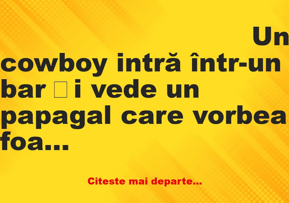 Banc: Ce-i cu papagalul ăsta? De ce vorbește așa?