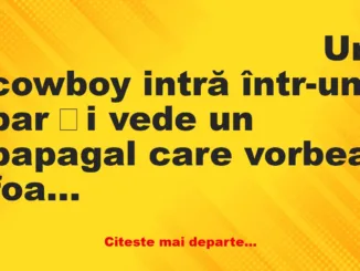 Banc: Ce-i cu papagalul ăsta? De ce vorbește așa?