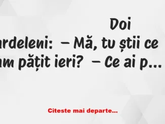 Banc: Doi ardeleni: – Mergeam prin parc, când văd că se apropie o femeie…