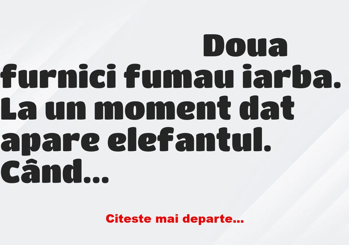 Banc: Doua furnici fumau iarba. La un moment dat apare elefantul