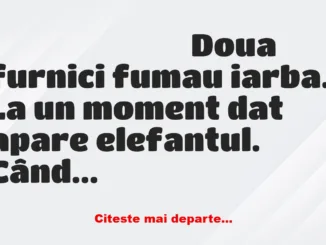 Banc: Doua furnici fumau iarba. La un moment dat apare elefantul