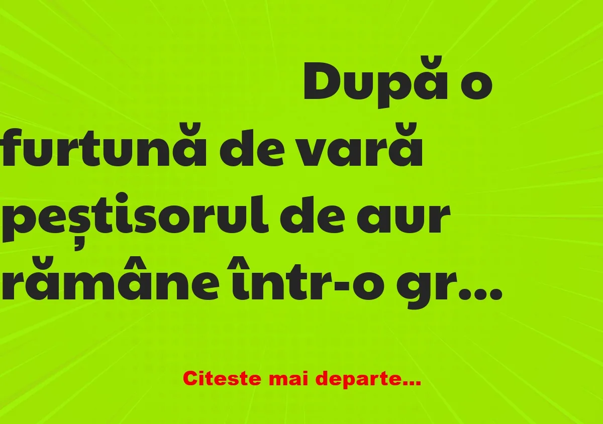 Banc: După o furtună de vară, o blondă găsește peștisorul de aur