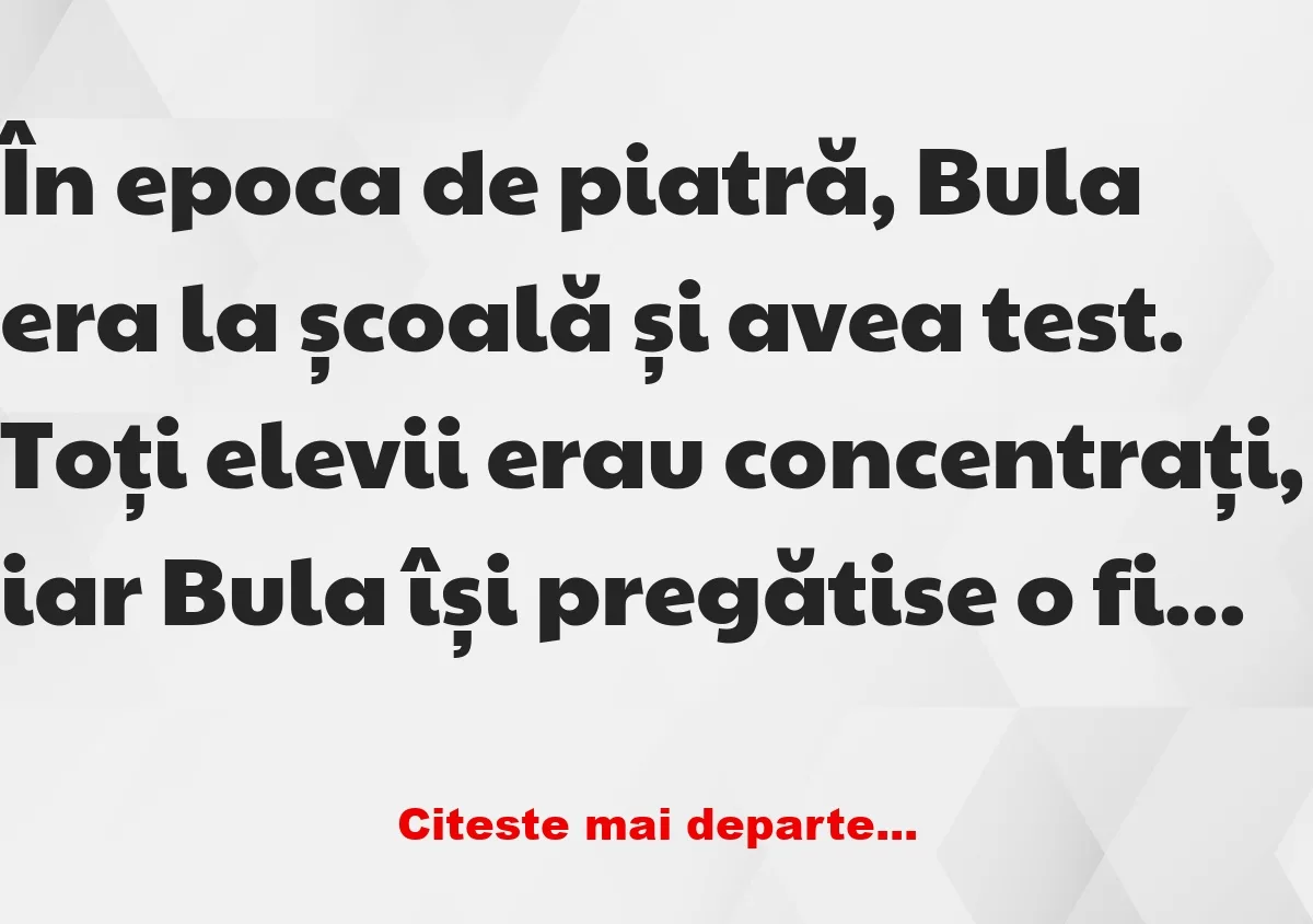 Banc: In epoca de piatra era Bula la scoala –