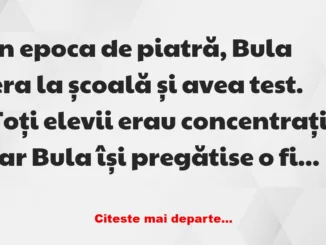 Banc: In epoca de piatra era Bula la scoala –