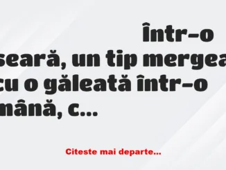 Banc:  Într-o seară, un tip mergea cu o găleată într-o mână. O blondă îl…