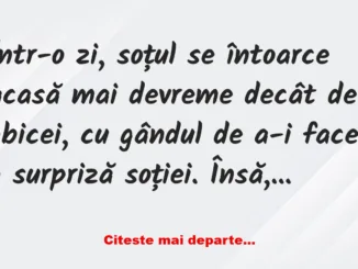 Banc: Într-o zi, soțul se întoarce acasă mai devreme –