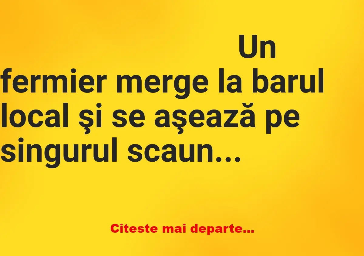 Banc: Într-un bar, un fermier comandă o șampanie și se așează lângă o tipă