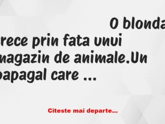 Banc: O blondă trece prin fața unui magazin de animale. Un papagal îi zice: