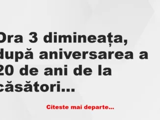 Banc: Ora 3 dimineaţa, după aniversarea a 20 de ani de la căsătorie… Ea,…