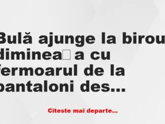 Banc: – Șefule, azi dimineață, când ai plecat de acasă, ai închis uşa de la…